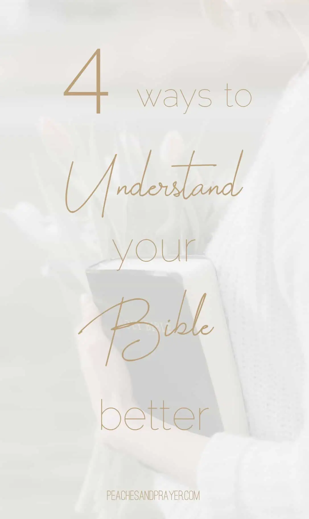 4 Tips to Understand Your Bible Better